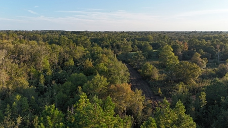 471  Acres, Over 3 miles of River Frontage, Pierce County Ga - image 7