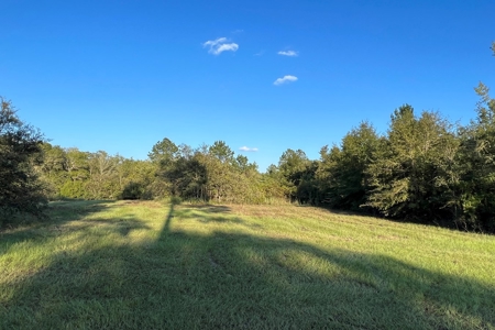 471  Acres, Over 3 miles of River Frontage, Pierce County Ga - image 3