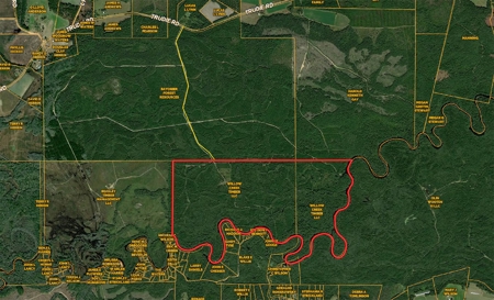 471  Acres, Over 3 miles of River Frontage, Pierce County Ga - image 4