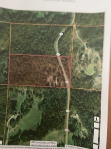20 acres,Highway, Homestead cabin, wood, hunting, tractor - image 1