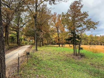 Missouri Ozarks Hunting Retreat Near North Fork River - image 14