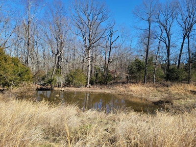 Missouri Ozarks Hunting Retreat Near North Fork River - image 18