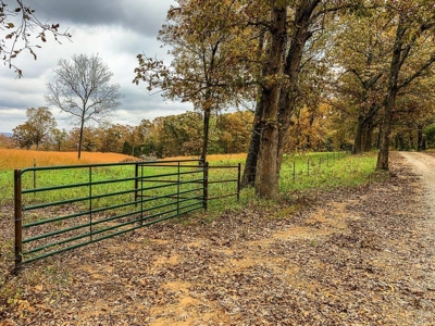 Missouri Ozarks Hunting Retreat Near North Fork River - image 15