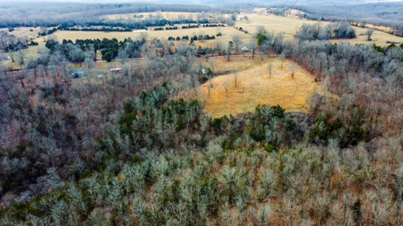 Missouri Ozarks Hunting Retreat Near North Fork River - image 2