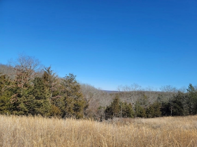 Missouri Ozarks Hunting Retreat Near North Fork River - image 17