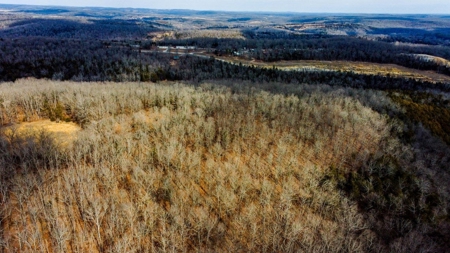 Missouri Ozarks Hunting Retreat Near North Fork River - image 6