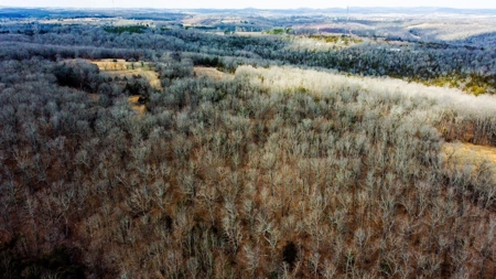 Missouri Ozarks Hunting Retreat Near North Fork River - image 7