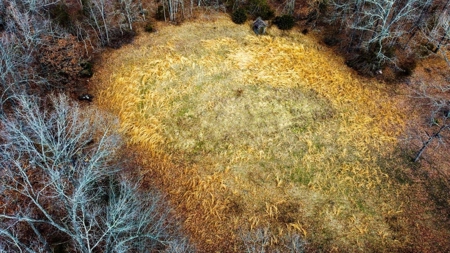 Missouri Ozarks Hunting Retreat Near North Fork River - image 9