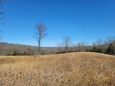 Missouri Ozarks Hunting Retreat Near North Fork River - image 16
