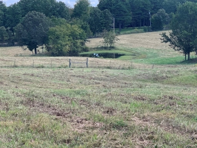 Land For Sale In Doniphan Missouri - image 3