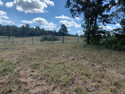 Land For Sale In Doniphan Missouri - image 4