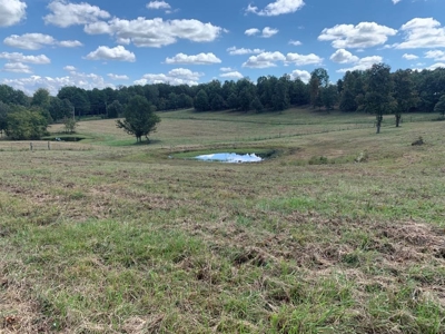 Land For Sale In Doniphan Missouri - image 1