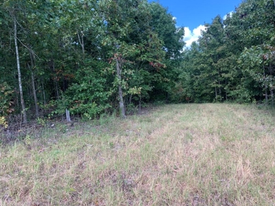Land For Sale In Doniphan Missouri - image 2
