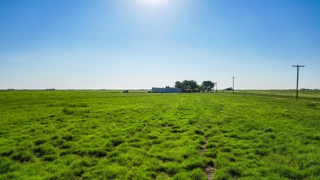 Beautiful Country Home In Lamb County - image 35