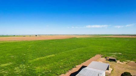 Beautiful Country Home In Lamb County - image 40