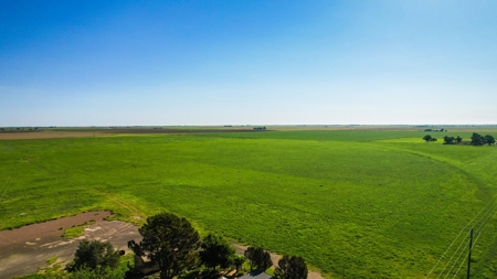 Beautiful Country Home In Lamb County - image 39