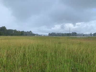 Land for Sale in Beaufort County, North Carolina - image 9