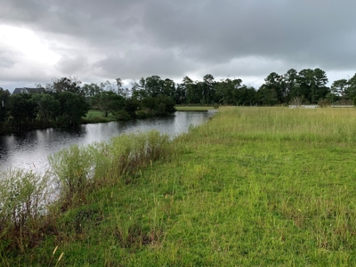 Land for Sale in Beaufort County, North Carolina - image 7