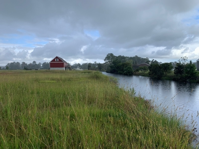 Land for Sale in Beaufort County, North Carolina - image 10