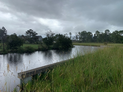 Land for Sale in Beaufort County, North Carolina - image 11