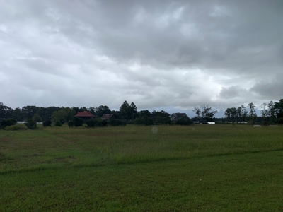 Land for Sale in Beaufort County, North Carolina - image 5