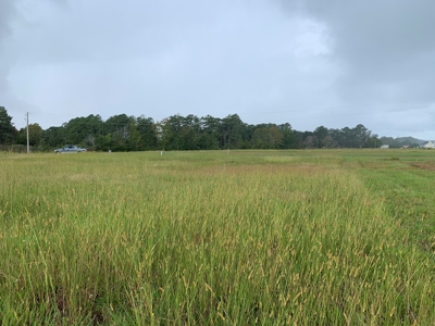 Land for Sale in Beaufort County, North Carolina - image 6
