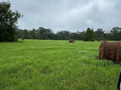 86.913 Acres Home/Hunting/Recreational/Farmland in SW MS - image 40