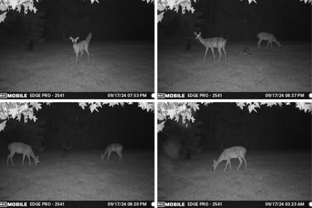 86.913 Acres Home/Hunting/Recreational/Farmland in SW MS - image 46