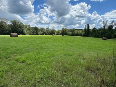 86.913 Acres Home/Hunting/Recreational/Farmland in SW MS - image 45