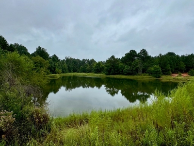 86.913 Acres Home/Hunting/Recreational/Farmland in SW MS - image 5