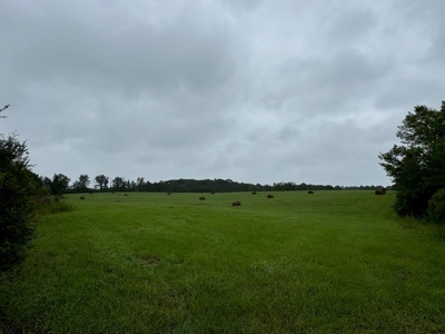 86.913 Acres Home/Hunting/Recreational/Farmland in SW MS - image 43