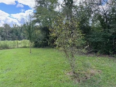 86.913 Acres Home/Hunting/Recreational/Farmland in SW MS - image 44