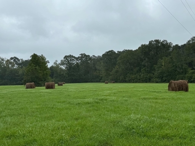 86.913 Acres Home/Hunting/Recreational/Farmland in SW MS - image 41