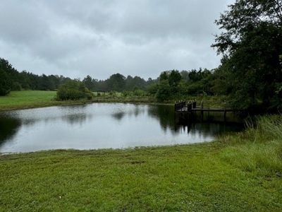86.913 Acres Home/Hunting/Recreational/Farmland in SW MS - image 23