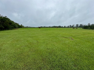 86.913 Acres Home/Hunting/Recreational/Farmland in SW MS - image 4