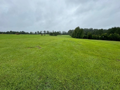 86.913 Acres Home/Hunting/Recreational/Farmland in SW MS - image 3