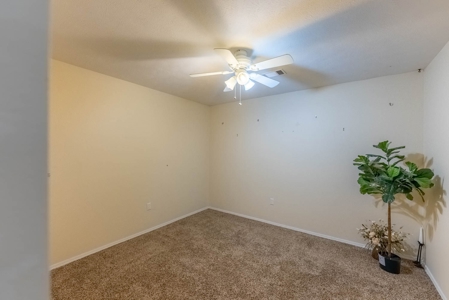 Country Home in West Plains Missouri - image 38