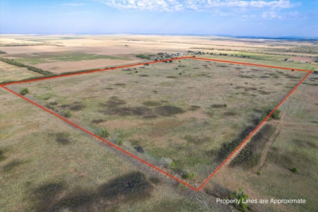 Rare 80 Acre Recreational Property in Hardeman County - image 1