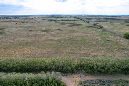 Rare 80 Acre Recreational Property in Hardeman County - image 26