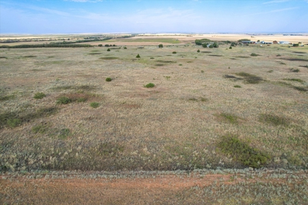 Rare 80 Acre Recreational Property in Hardeman County - image 20