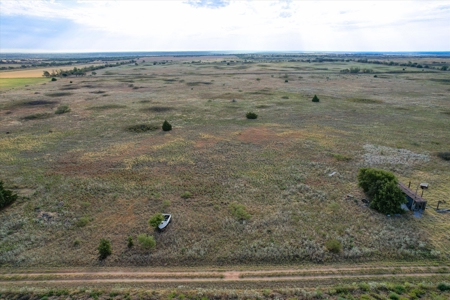 Rare 80 Acre Recreational Property in Hardeman County - image 30