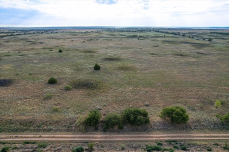 Rare 80 Acre Recreational Property in Hardeman County - image 28