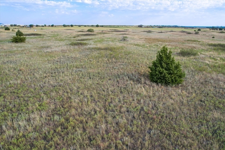 Rare 80 Acre Recreational Property in Hardeman County - image 13