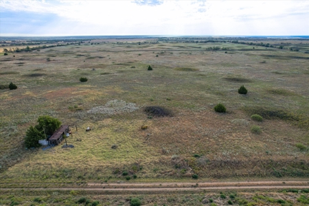 Rare 80 Acre Recreational Property in Hardeman County - image 29