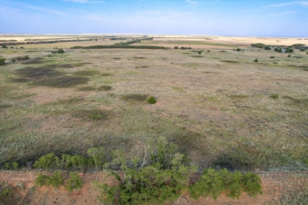 Rare 80 Acre Recreational Property in Hardeman County - image 22