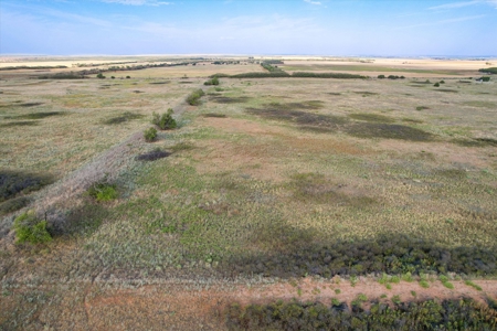 Rare 80 Acre Recreational Property in Hardeman County - image 24