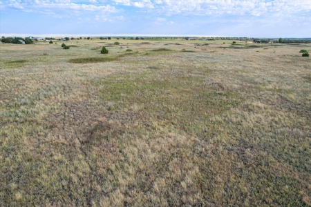 Rare 80 Acre Recreational Property in Hardeman County - image 8