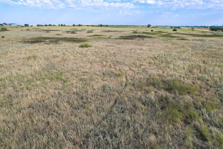 Rare 80 Acre Recreational Property in Hardeman County - image 15