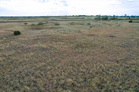 Rare 80 Acre Recreational Property in Hardeman County - image 14