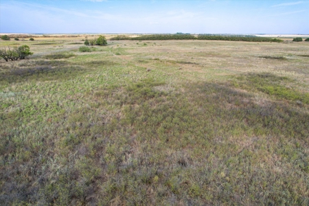 Rare 80 Acre Recreational Property in Hardeman County - image 7